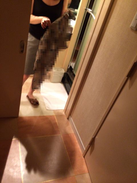 Vт̎ʐ^